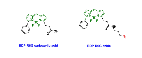 BDP R6G